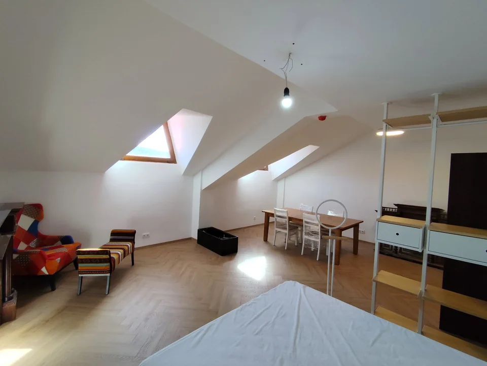 A601: Open-plan living and sleeping space with roof windows
