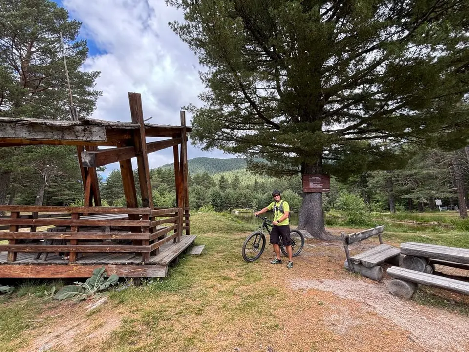 Picnic shelter, benches and a cyclist beside a large pine near Semkovo Hut.