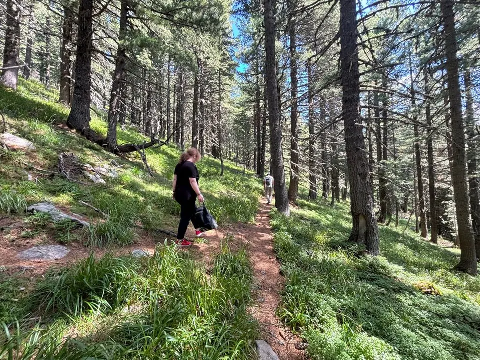 A walker on a shaded forest trail during the Suhoto Lake outing.