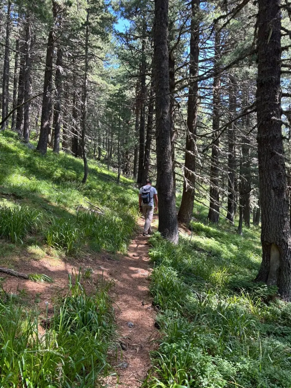 Narrow forest path on the Suhoto Lake outing.