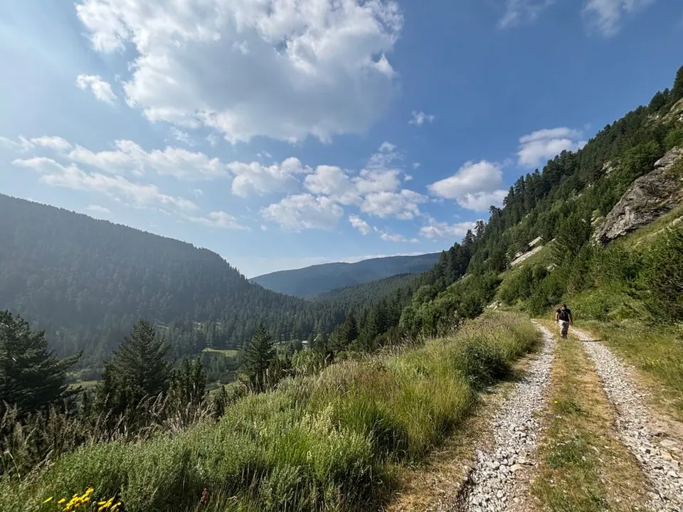 Dirt vehicle road and a wide forest-valley view on the waterfall outing.