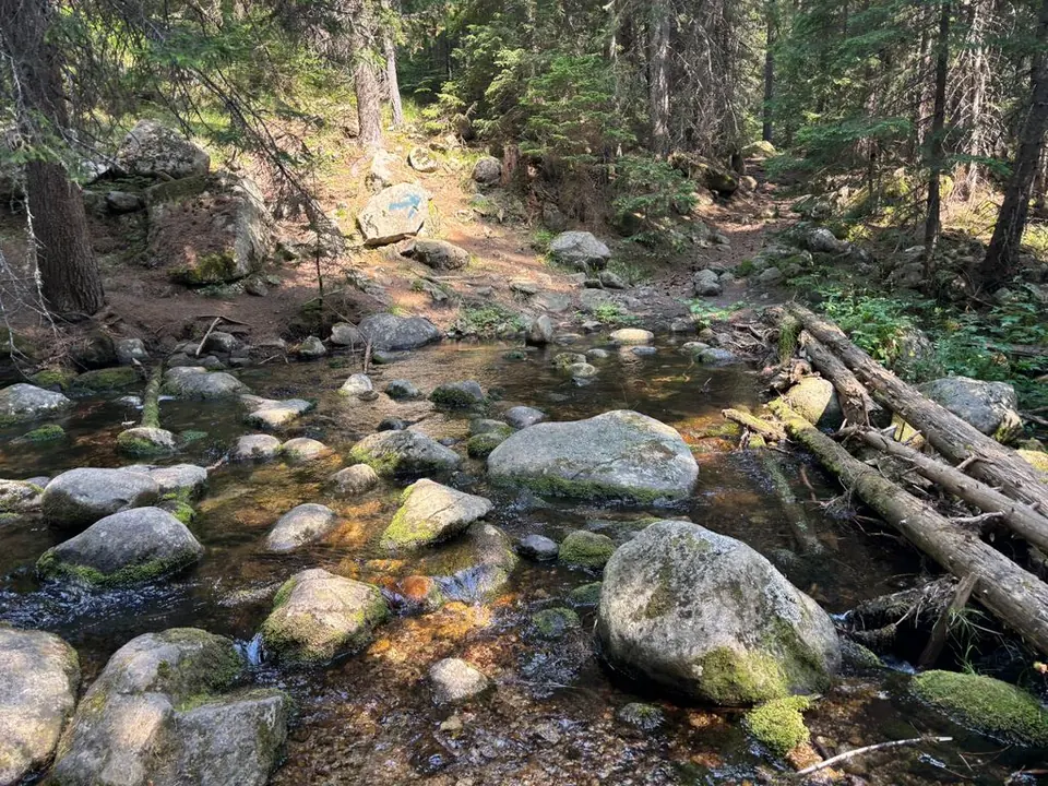 Rocky woodland stream on the Macedonia Hut outing.