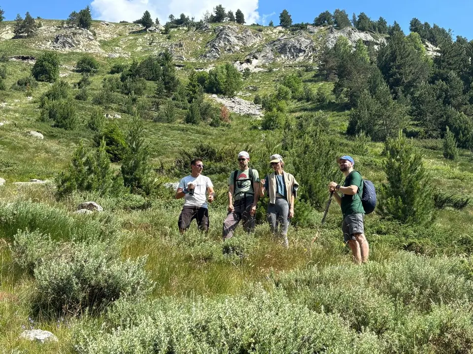 Walkers in open mountain scrub on the Macedonia Hut outing.