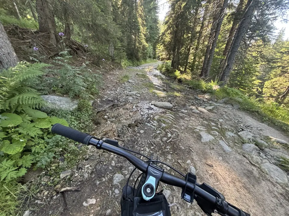 A rocky forest track on the ride towards Macedonia Hut.