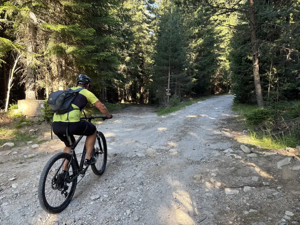 A cyclist on a forest track towards Macedonia Hut, near Semkovo.