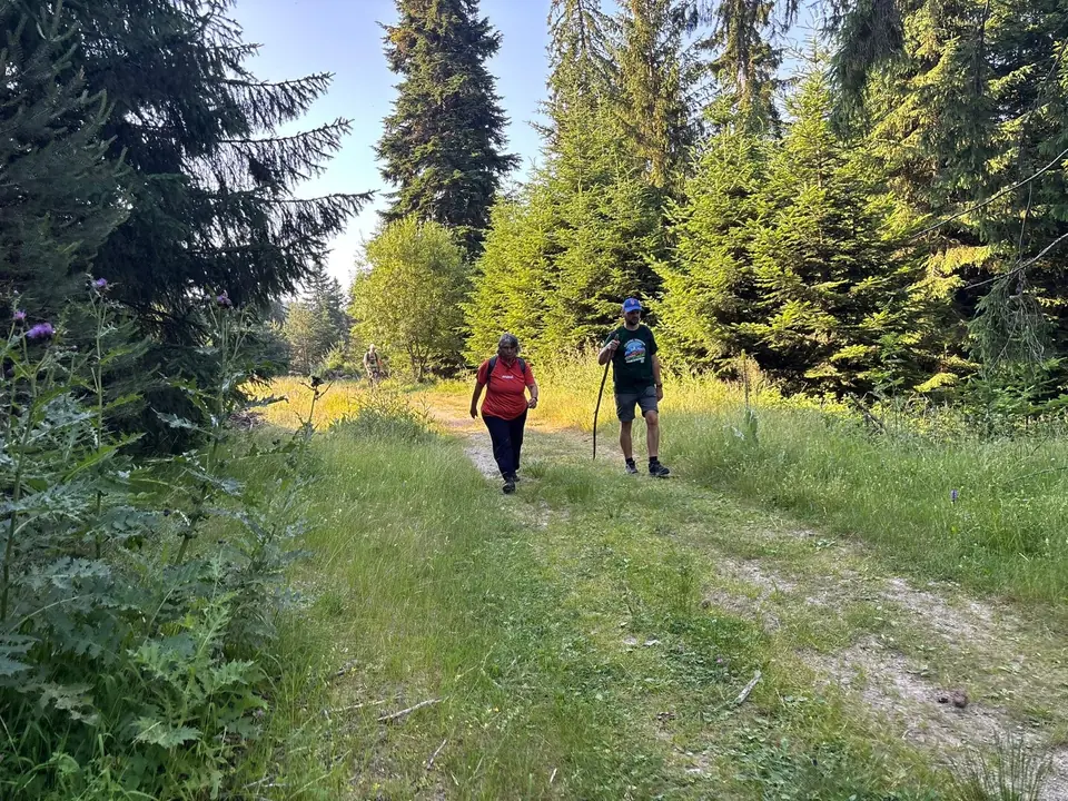 Walkers on the forest track on a Macedonia Hut outing.
