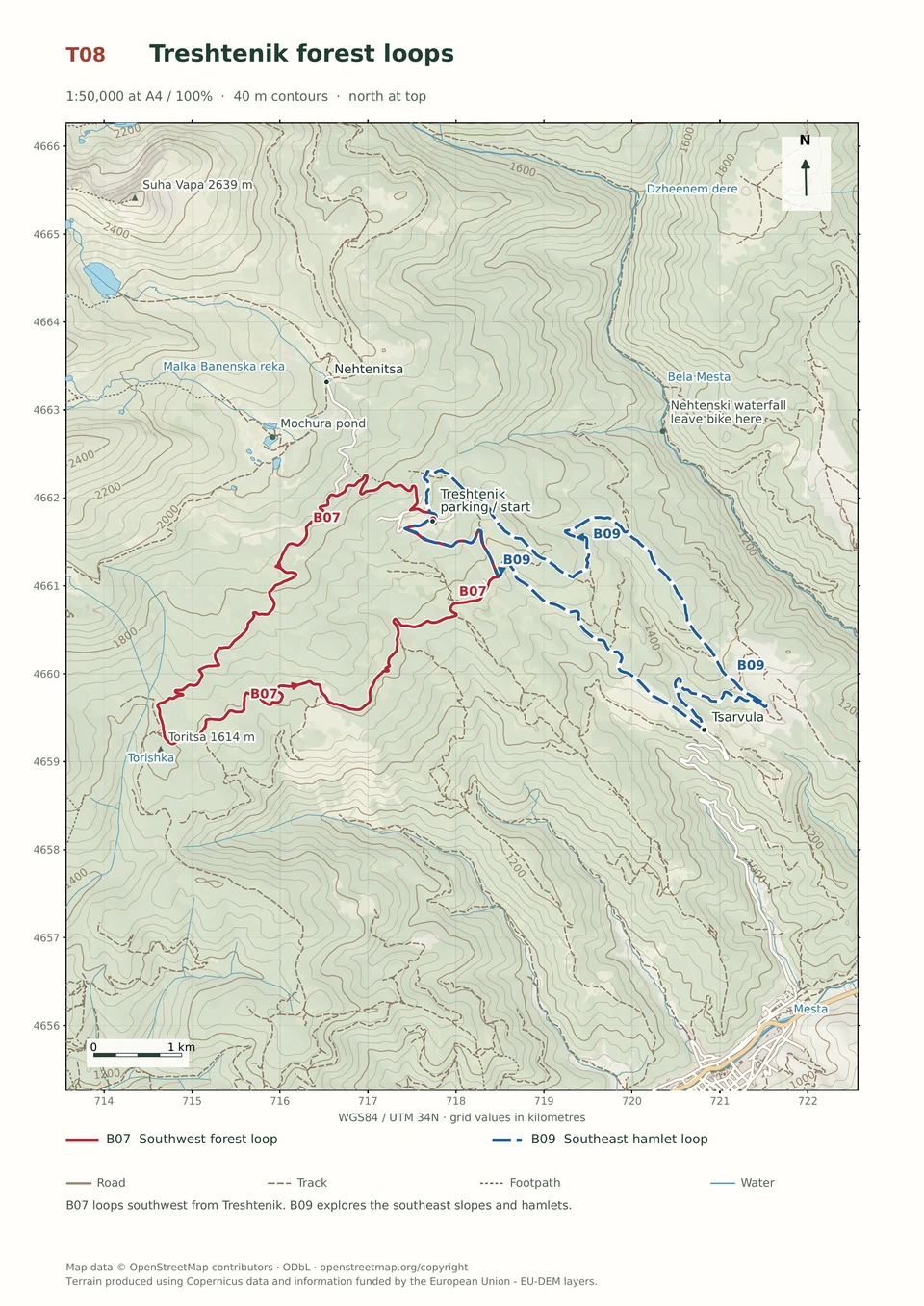 T08 / Treshtenik forest loops